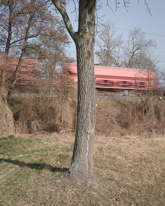Mittelweg Foto 02